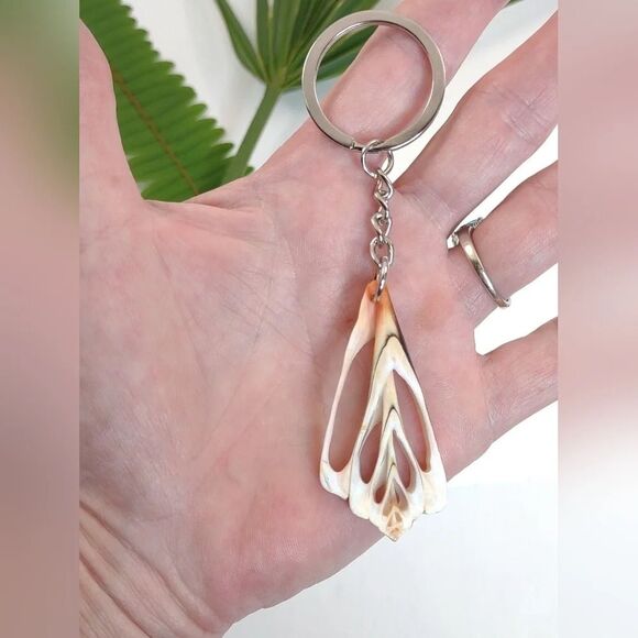 Seashell Keyring Slice Conch Seashell Clearwater Beach, Florida - Picture 11 of 11